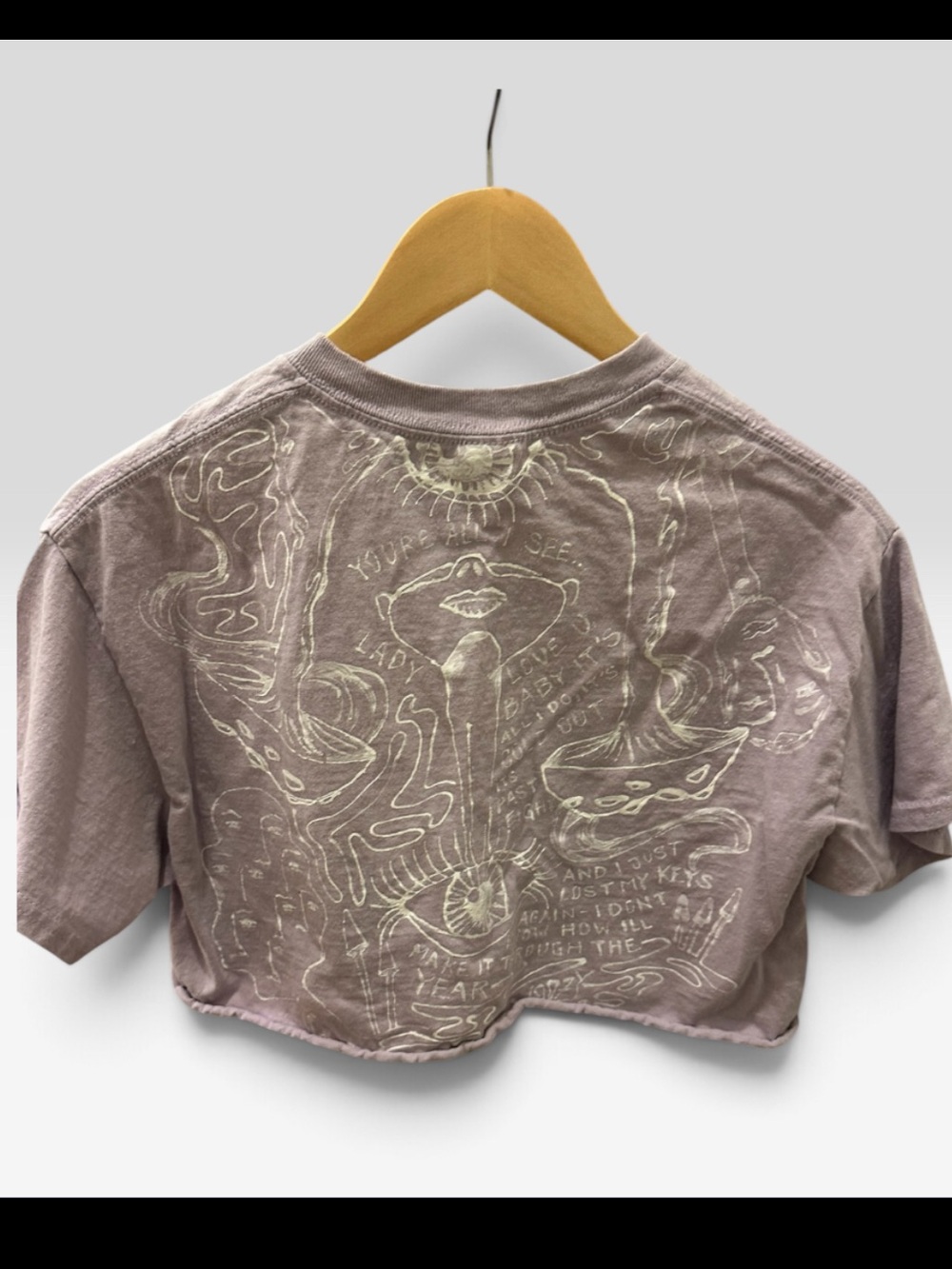 Still Woozy Hand Painted Cropped Tee One of a Kind Artist Graphic M